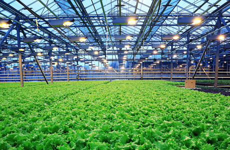 高效大型空氣能供暖設備，為廣闊空間帶來溫暖